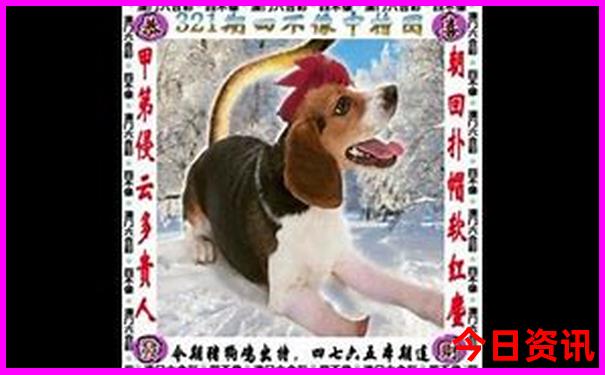 丹东三日游必去的地方